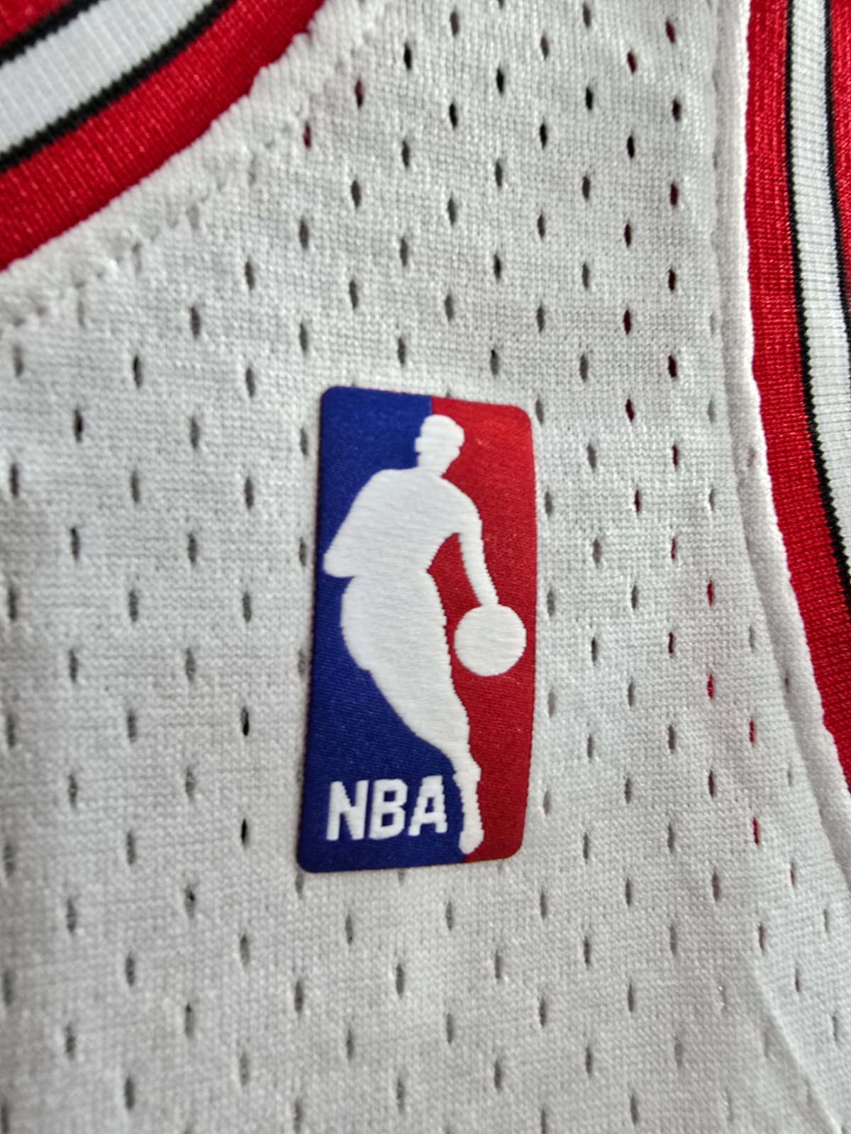 Chicago Bulls(Jordan)