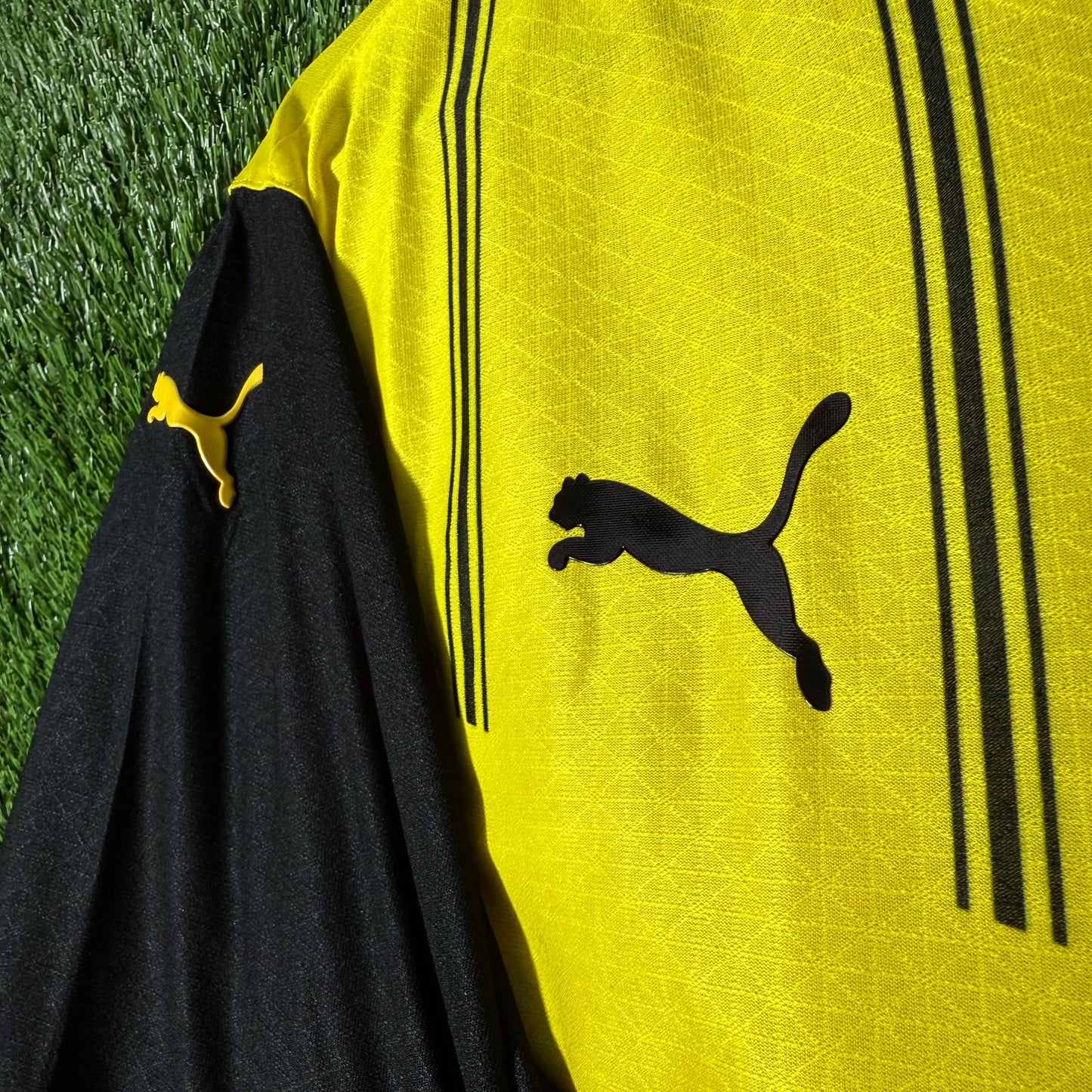 Borussia Dortmund 24/25