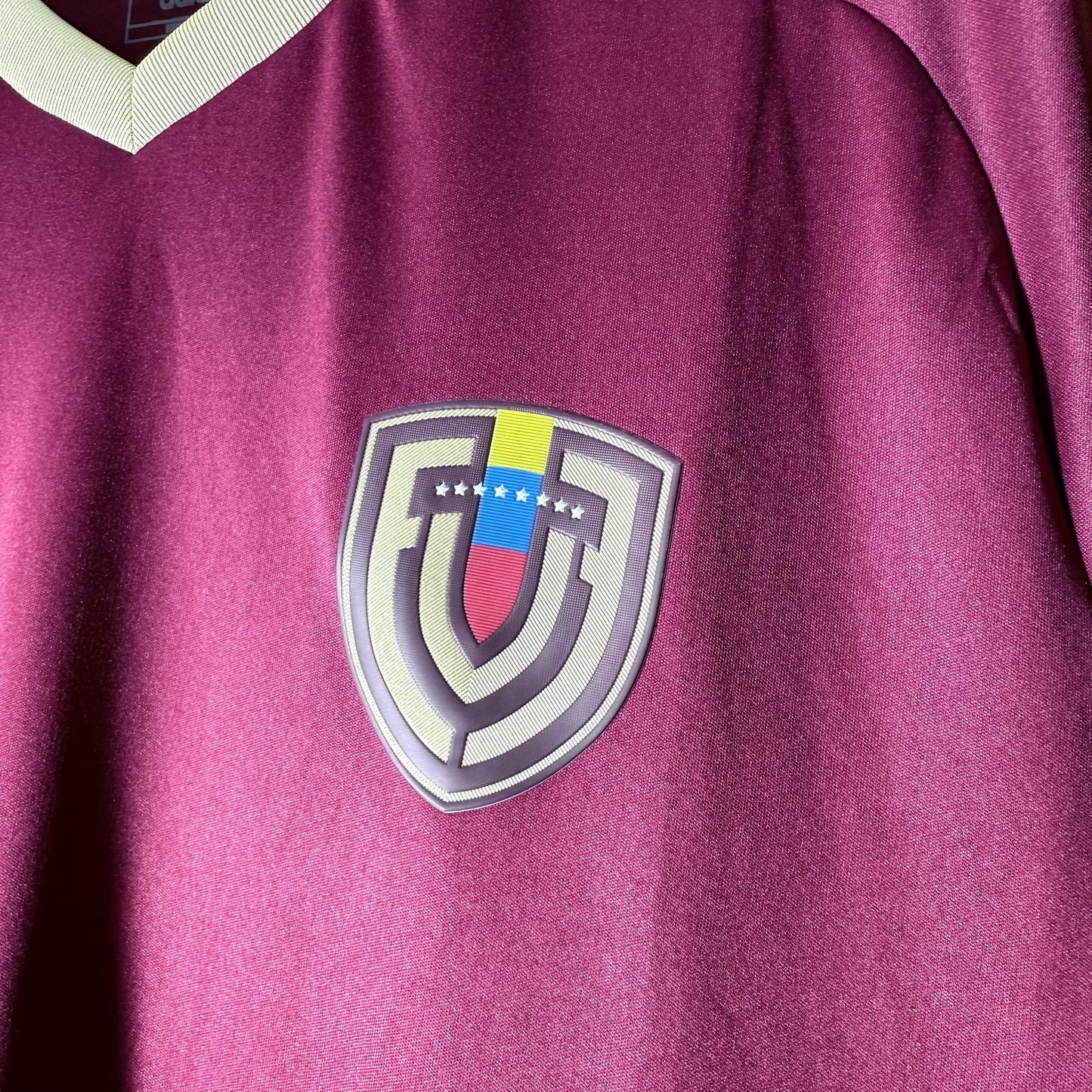Venezuela 2024 Home