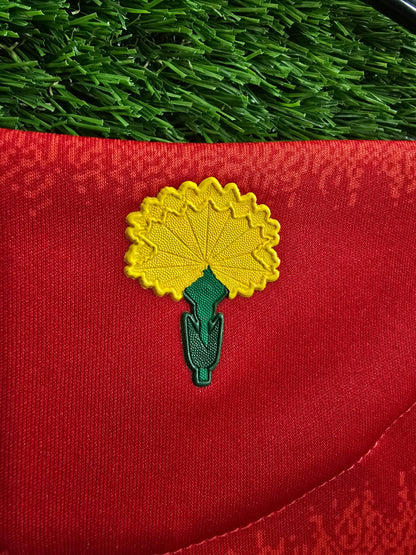 Spain 2024(Lamine Yamal)