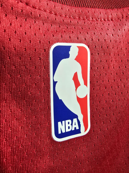Miami Heat(Adebayo)
