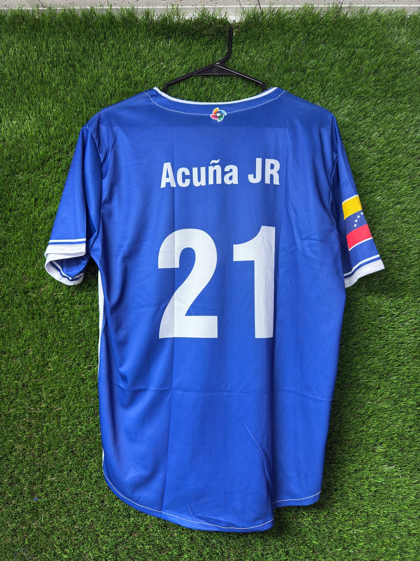 Venezuela Baseball 2026