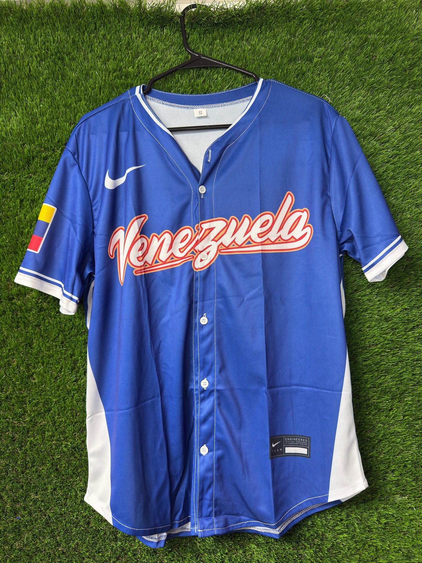 Venezuela Baseball 2026